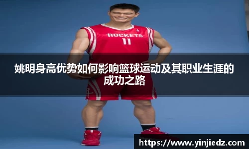 bsports.必一体育官网